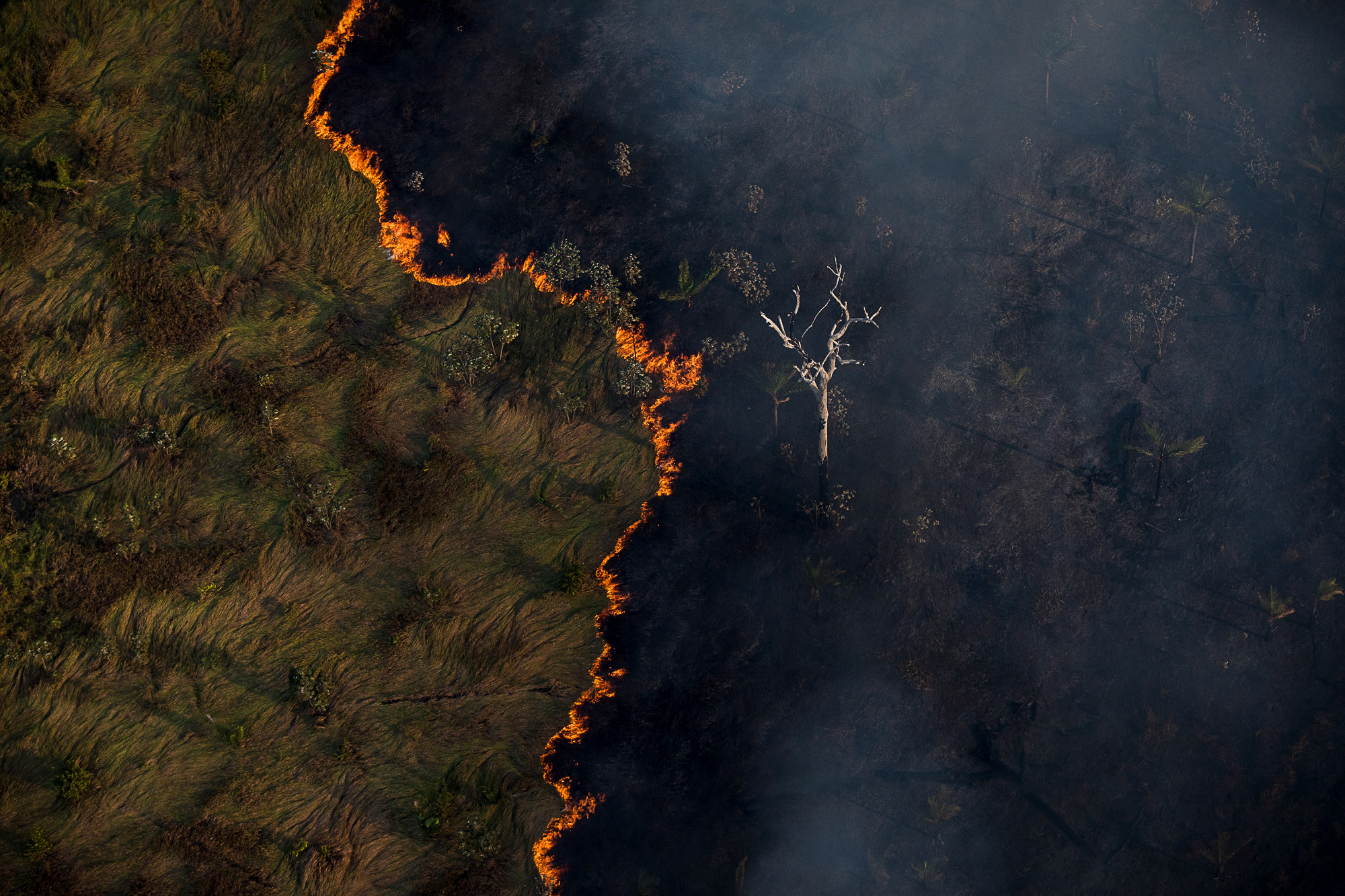 10 dicas para criar campanhas incríveis e engajar a audiência no combate à crise climática